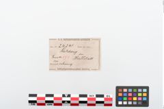 Etiketten zu Bronzemelonenarmreif (NHMW-PRAE-024241)